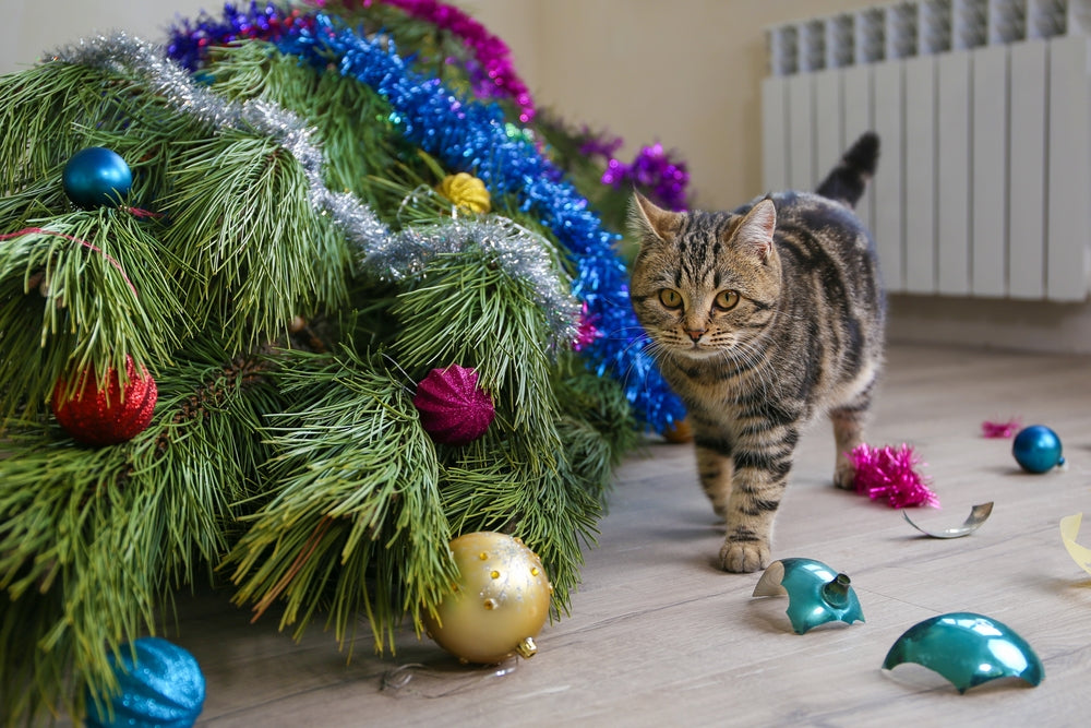 4 Tips to Protect Your Feline This Season: Cat-Friendly Holiday Decorations and More