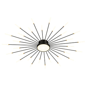 Ceiling Lights