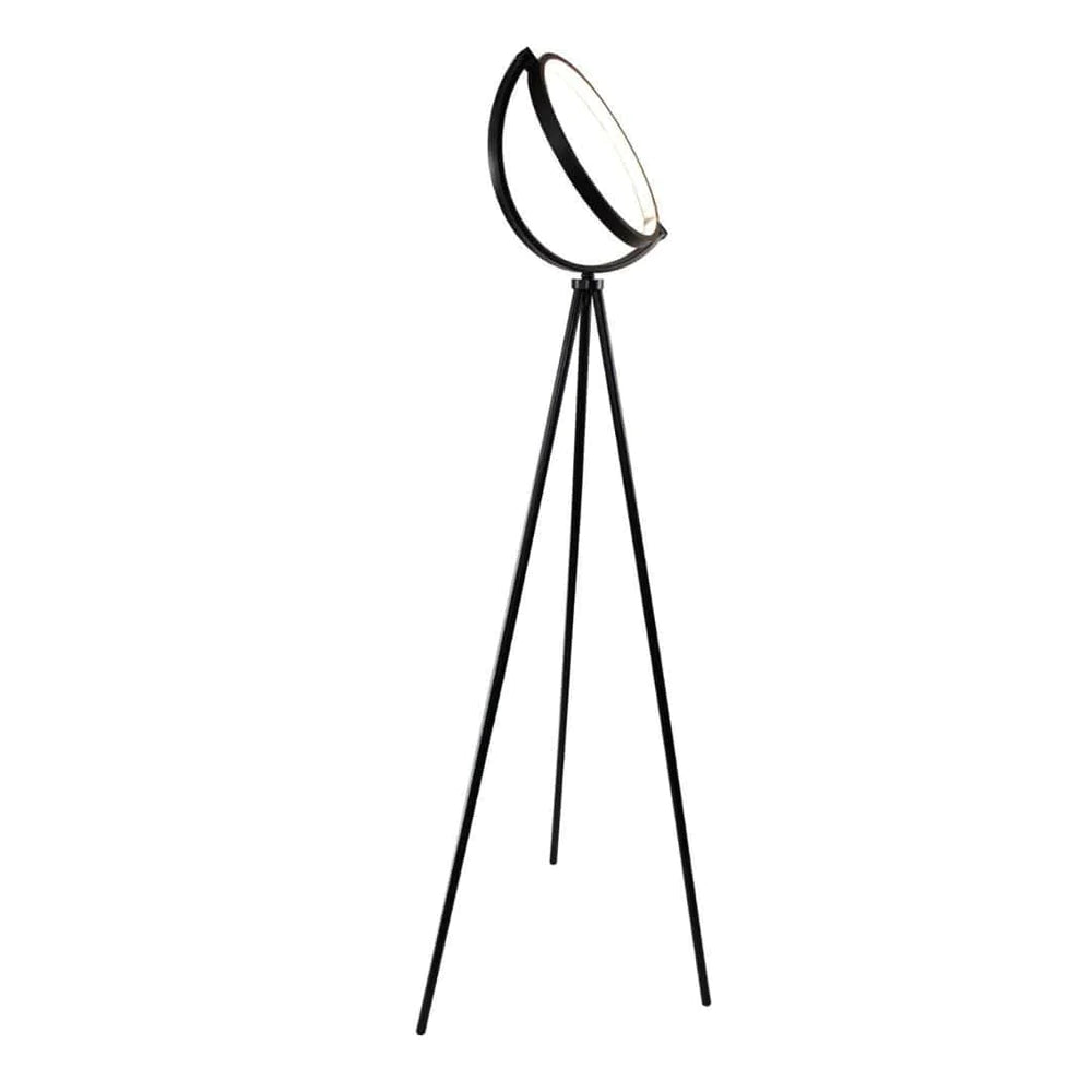 Floor Lamps