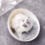 Cosmo Pet Bed