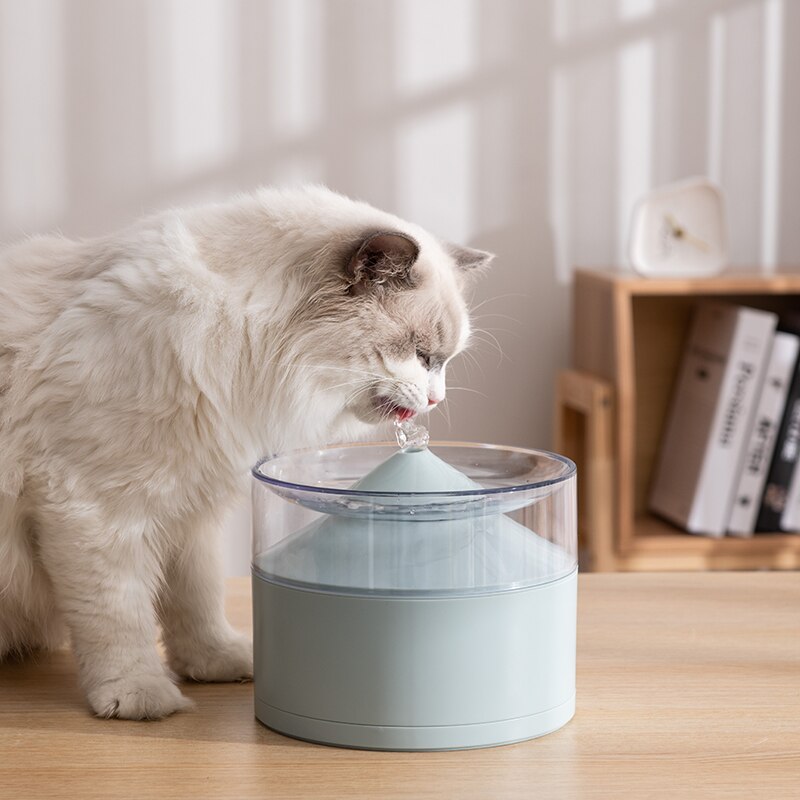 Minimal Pet Drinking Fountain